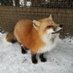 なつ