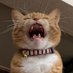 こや