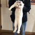 たかのセブン