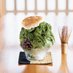 かき氷とだし茶漬けの店　さくらもみじ宝塚