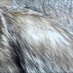 Swewolf_89