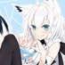 チベットスナギツネ🌽🦊♦︎💭