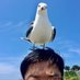 鳥の吉田