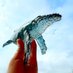 HiiO🐳空洞レジンアーティスト🐳複数の偽アカにご注意ください