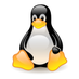 Linux271828