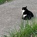かゆくみ