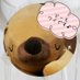 クマ室長【えんじぇる】　★　新宿｜メンズエステ｜アロマ｜パム