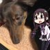 チョコクッキー