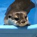 あさ