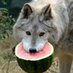 マウント阿蘇