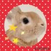 🐰りるる🐶🐶
