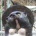 みやたく