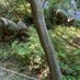 まにっしゅ⸜(* ॑꒳ ॑* )⸝‼︎‼︎