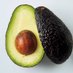 近代アボカド🥑