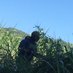 タケタニ(*'ω'*)ぶっけん