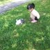 🐱ぴーきち🐱