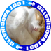 katze