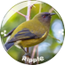 Keiki＠(公式)ながさきコイン®