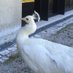 さと（時間外窓口）