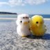 ぴよ🐤6m