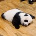 えまたぬ🐼エマ速