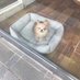 どた