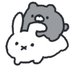 あい