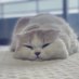 りーぬ