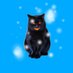 ゆきねこ
