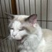みやこ