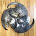 ピヨピヨ