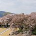かえるぴょこ