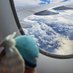 まめたに