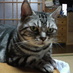 自営ちゃん