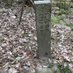 路地穴