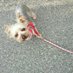 ふるもと なおゆき