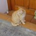 なにか