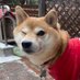 音色