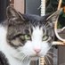 井の中のお猿👿