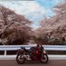 828Hanya（はにゃ）