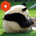ただのびよら弾き