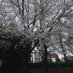 トイレットペーパーの芯