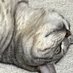 さのまる Саномару