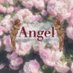 コンカフェ 👼🏻Angel👼🏻