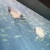 しまお🏘️⚒️