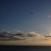 晴天の霹靂
