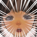 うつろー