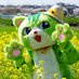 のらねこくん