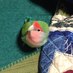 ちか