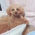 ポチ🐶起業家
